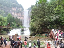 三八 节人气旺 四面山提前迎来旅游旺季