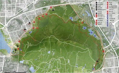 2021年南京规划来了 过江通道 新建景区还有一大批学校...