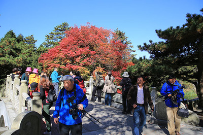 中国风景名胜区协会