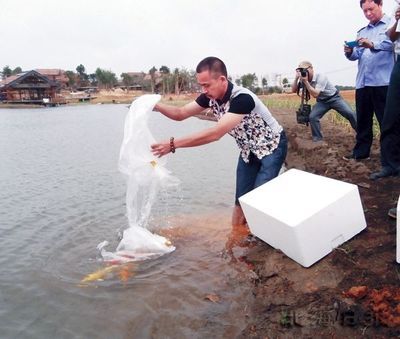 北海园博园获赠万尾锦鲤 增添了一个灵动景观_房产资讯-北海搜房网