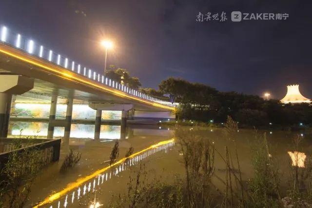 夜间游览更美!竹排江部分桥梁亮化改造再现迷人景