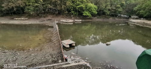 景区开展流徽湖 流杯渠 竹海湖等水系清淤治理工程