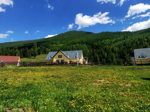 喀纳斯有哪些游览景点 喀纳斯怎么游玩及线路