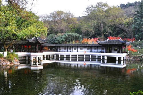 苏州亭林园免费啦 附预约攻略