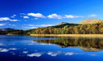 文化及相关产业分类 2018 九大行业解读 四