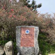 麻城龟峰山游玩-龟峰山门票多少钱/价格表-团购票价预定优惠-景点地址在哪里/图片介绍/参观预约/旅游游览顺序及注意事项/营业时间-【携程】