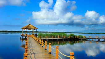 黑龙江兴凯湖来汉推介避暑游 不一样的江湖 引赞叹