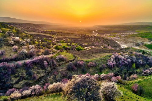 中国旅游集团打造 兴疆 之旅