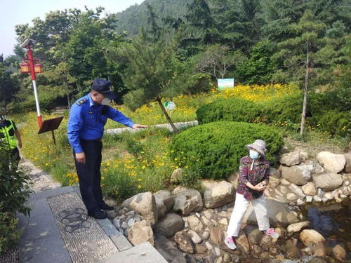 竹林寺管理区全力开展旅游品质提升行动