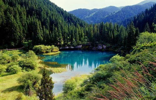 黄龙管理局牟尼沟景区正式实施网上实名制购票