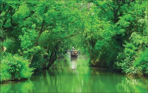 浙 几家旅游经典景区,春节约起来