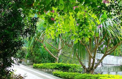 秀美福建,景点推荐