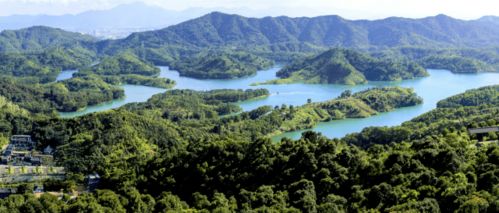节后上班第一天,放假通知来了 惠州红花湖景区明天起恢复开园