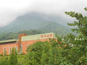 隐藏在5a景区里的饮料厂,几乎没有人没喝过他们的产品