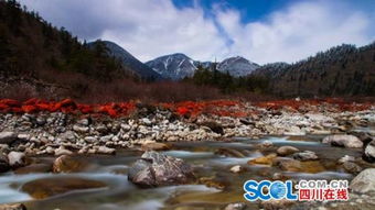 5.19中国旅游日海螺沟景区免票 走起来吧