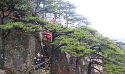 清明小长假第三天 黄山风景区优化管理措施 游览秩序井然