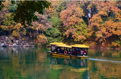 北京市属公园31项重阳活动送祝福