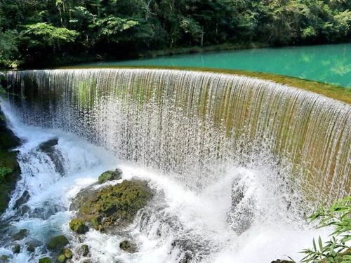 游览行为是否文明反映一个人的素质