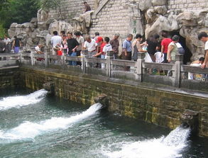 助力保泉 济南5个渗漏区明年将修复