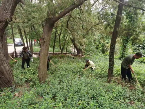 济南市灵岩寺景区加强环境整治,提升景区旅游品质