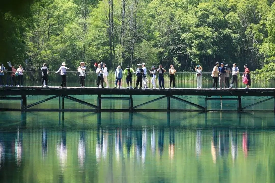 游客满意度超96%!九寨沟景区调度能力太强火上热搜!