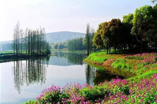 国庆个别景区门票明降暗升 进景区后每项都单收费