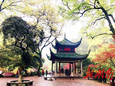 8月25日起,岳麓山景区东门路段整修观光路线调整