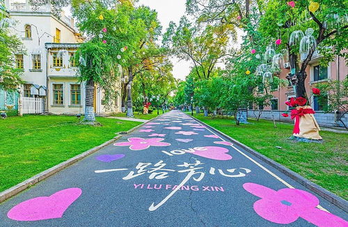 暑期游太阳岛,一路畅通才舒心 绿色出行,让您避开拥堵享惬意
