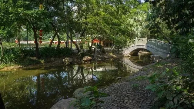 赚翻了!深圳53个免费景点,不花一分钱玩转五一!