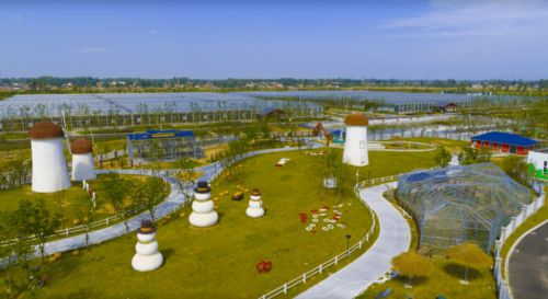 我们一起走过的2020 洋河新区文旅工作回眸