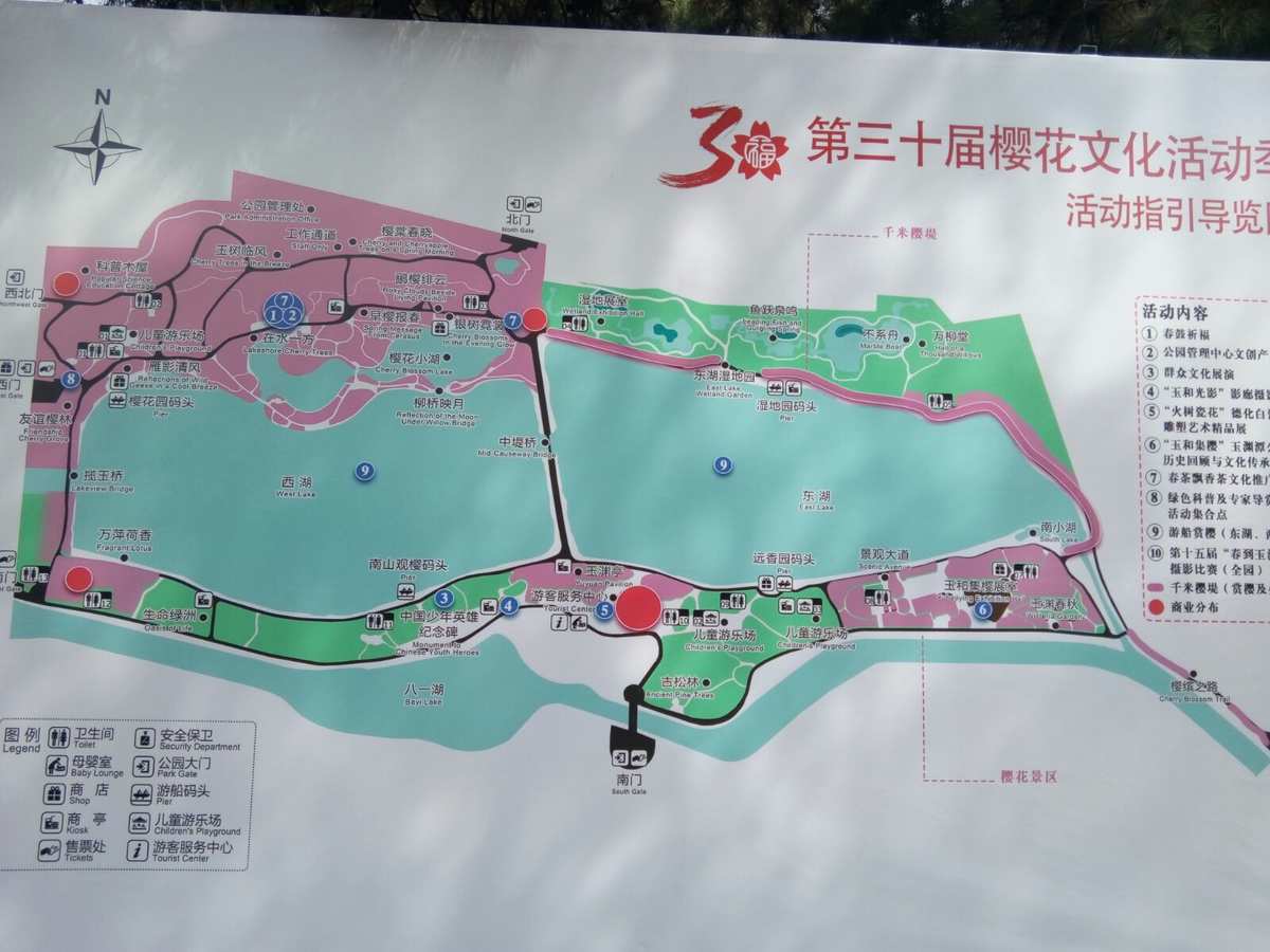 玉渊潭公园游览樱花景点及线路