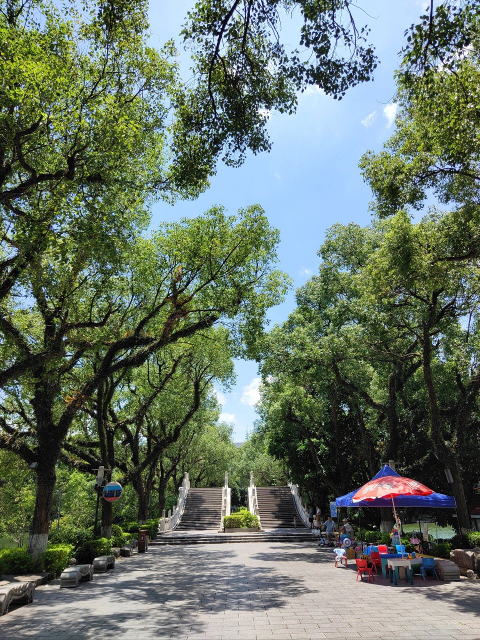 桂林开放式的榕湖景区实在太美丽 免费游览,开放式管理,景色宜人,天空