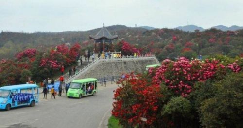 毕节市百里杜鹃管理区入围第四批全国旅游标准化试点单位