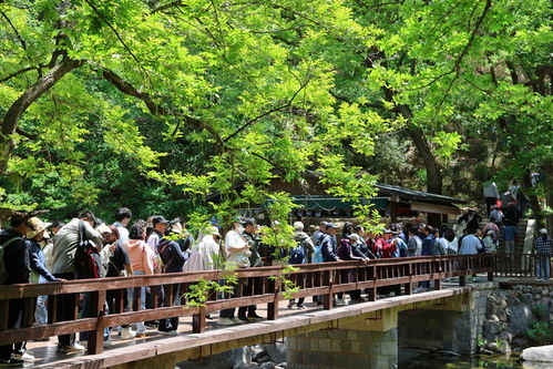 五一 假期前三天 崂山景区累计接待游客超20万人次