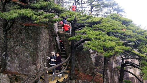 穷人越来越穷,富人越来越富,盘点富人不希望穷人明白的秘密