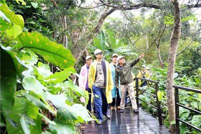 “国研·斯坦福”师生走进呀诺达,领略雨林魅力