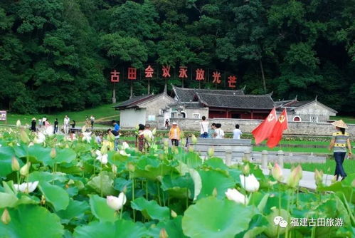 龙岩市古田旅游区关于规范景区参观游览管理的通告