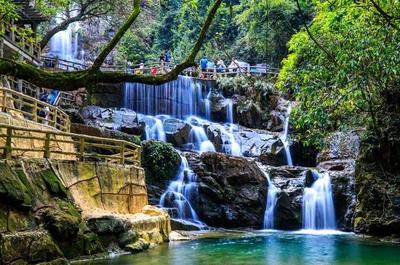 一年无限次游星湖!肇庆星湖“开心100星湖卡”正式发售