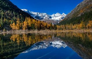 达古冰山景区深度开发洛格斯徒步游览区