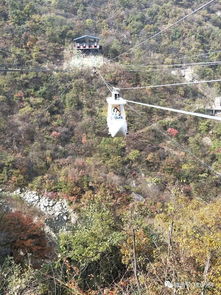 网红招募令 平顶山交通广播邀您免费游览河南天龙池景区