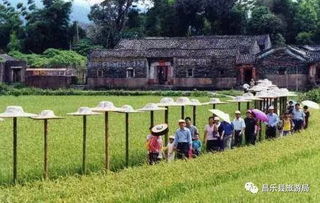 开发乡村旅游,应关注这四类产品