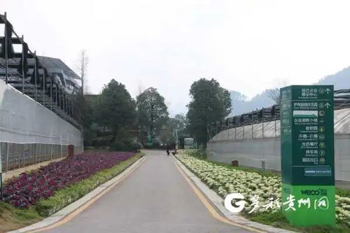 贵州多个景区陆续开园，游览时园区管理服务与注意事项详解