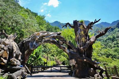 魔鬼秋千爆红全网 浙旅集团深度体验旅游产品成效凸显，景区管理再升级