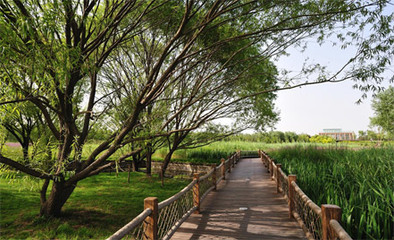 奥林匹克森林公园游览景区管理探析