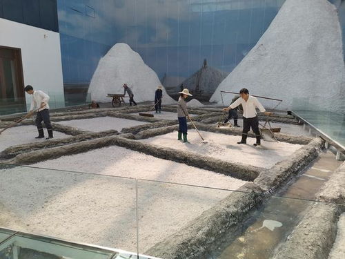 好客山东 百团山东行——滨州无棣站活动启动，园区管理服务协同助力