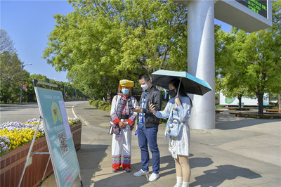 石林旅游网游览景区管理策略与实践