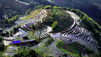 紫鹊界盛装启航，9月8日正式向游客开放，园区管理服务全面升级