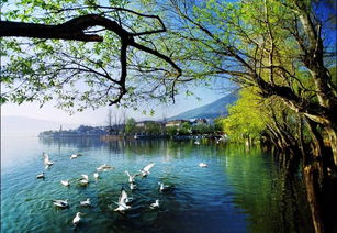 引以为鉴，刀刃向内——邛泸景区质量提升会后管理优化纪实