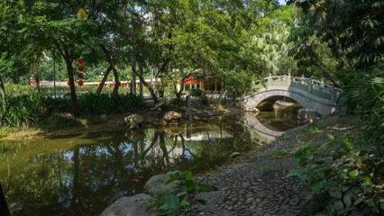 深圳最适合一日游的免费景点,各区都有!不要再说周末没地方去啦.