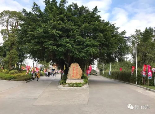 鹤马 本周六开走 最美赛道提前睇 记得带上这份攻略...